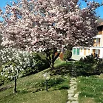 A Due Passi Da Burcina