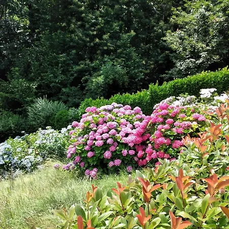 Apartamento A Due Passi Da Burcina *